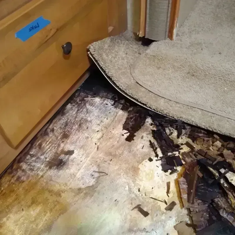 Best Wood Floor Water Damage Service in Prairie Heights, WA